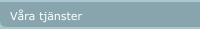 V&aring;ra tj&auml;nster